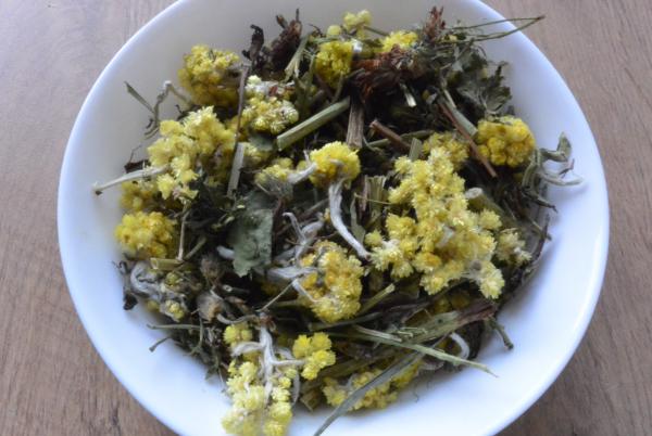 Sammy´s Knabberspaß Steinklee & Sandstrohblume